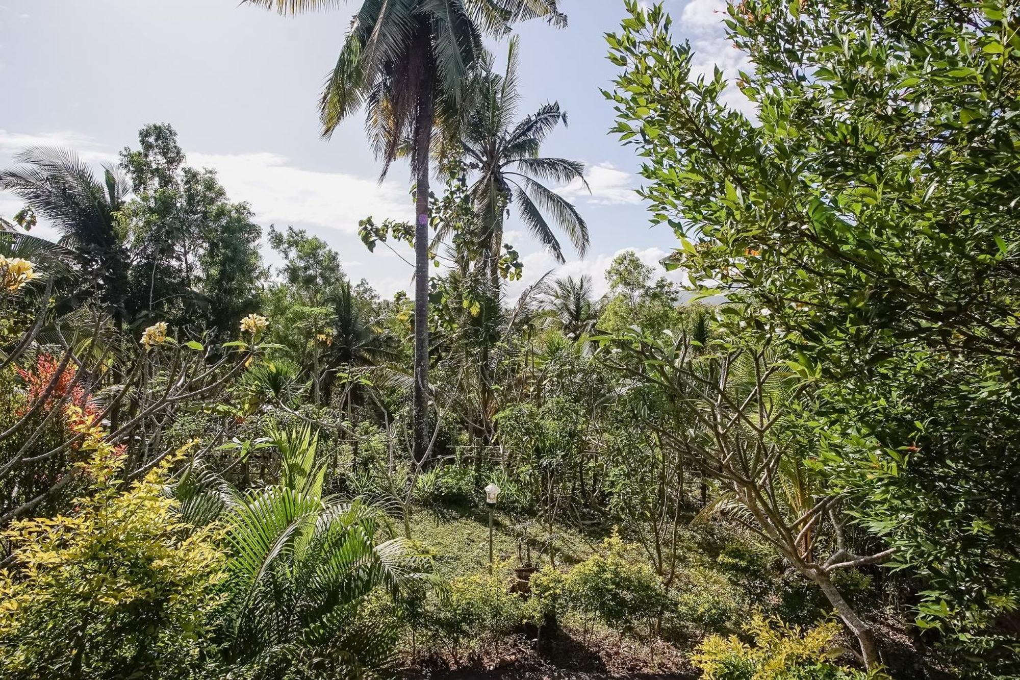 Penida Lapaya Bungalows Nusa Penida Sakti Luaran gambar